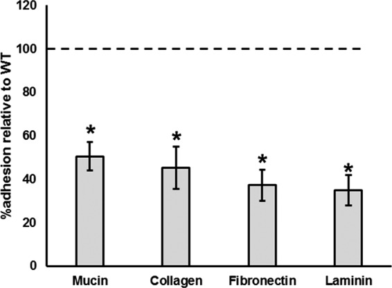 FIG 6