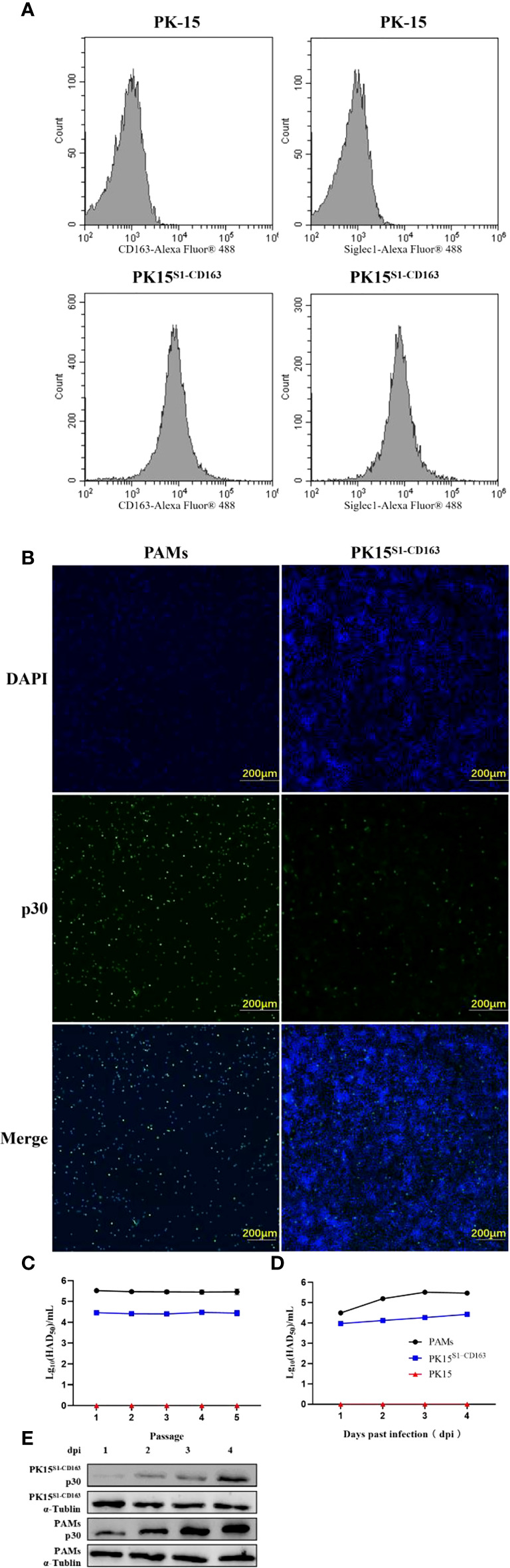 Figure 5