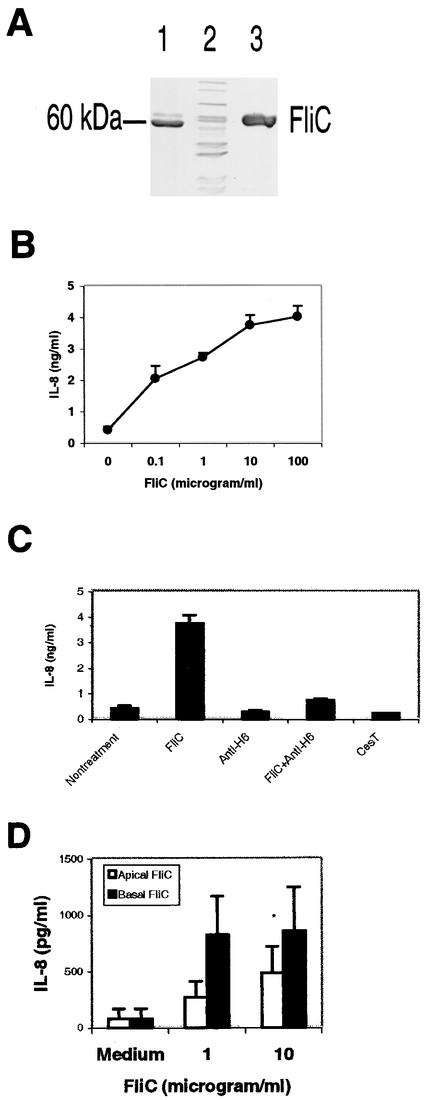 FIG. 4.