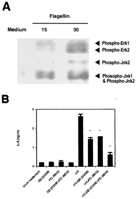 FIG. 5.