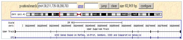 Figure 19