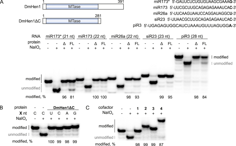 Figure 6.