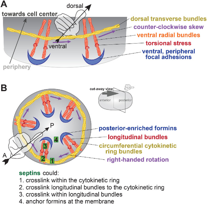 FIGURE 5: