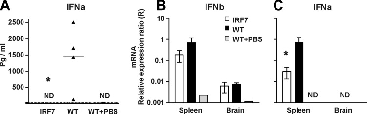 Fig 5