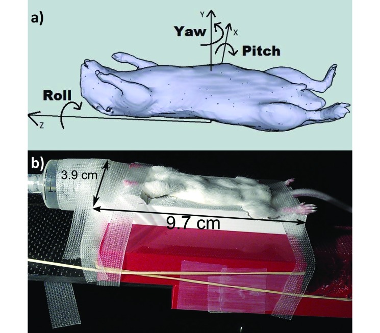 Figure 5.