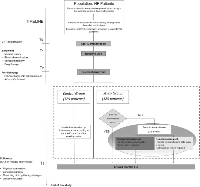 CLC-22352-FIG-0001-b