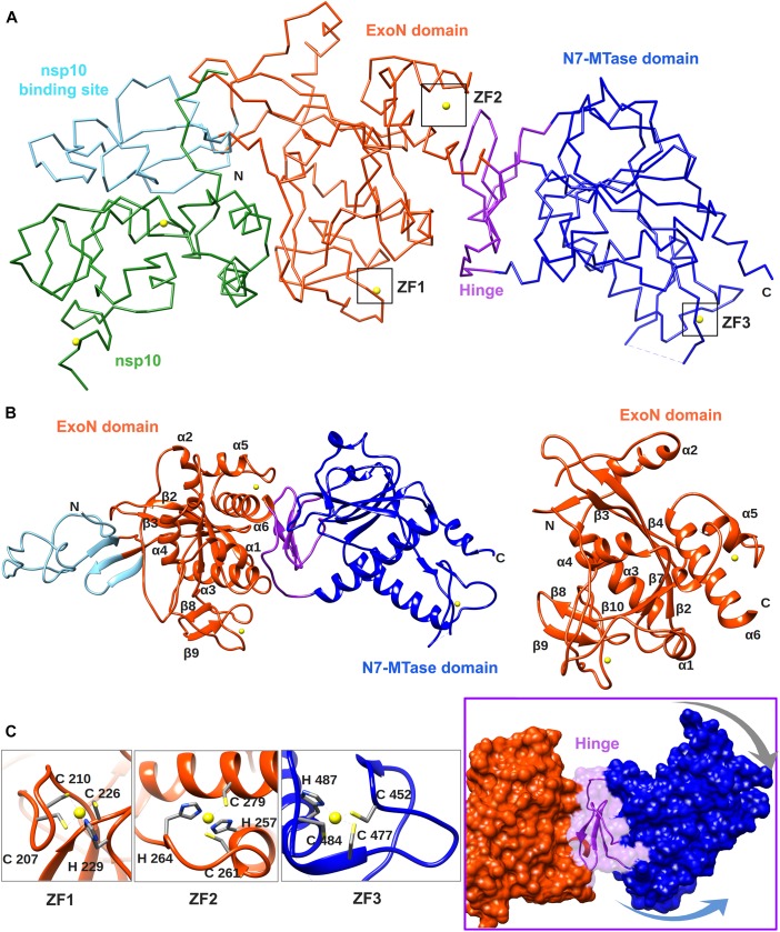 FIGURE 4