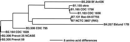 Fig. 5