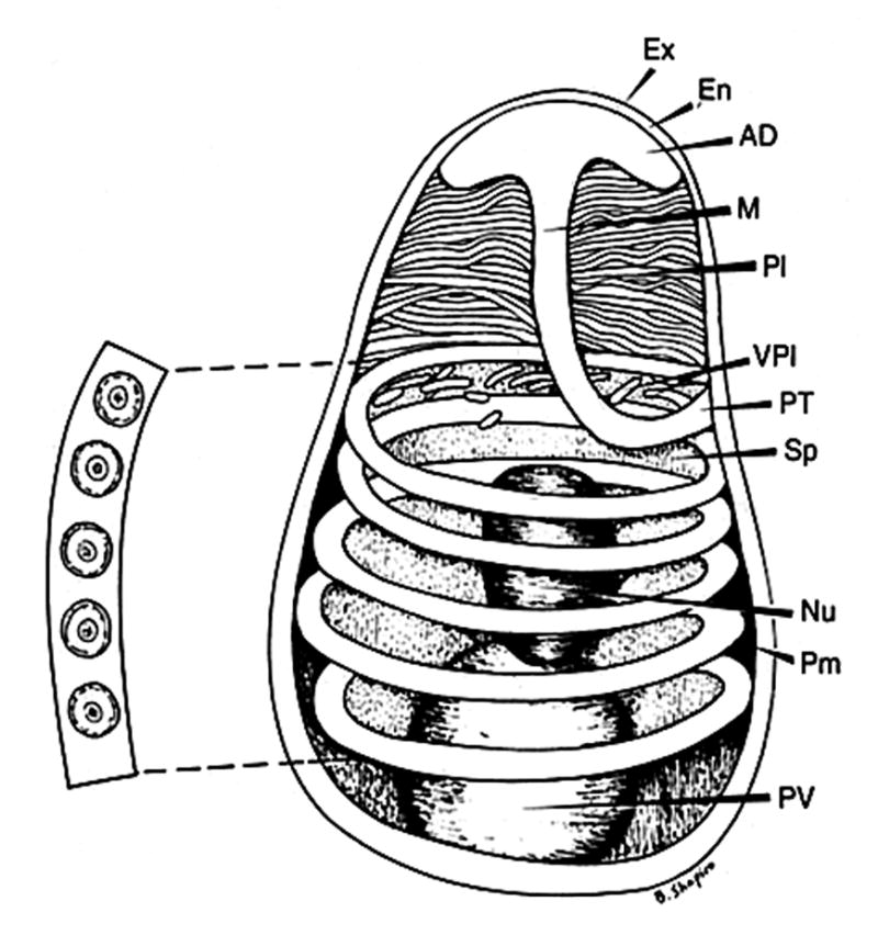 Figure two