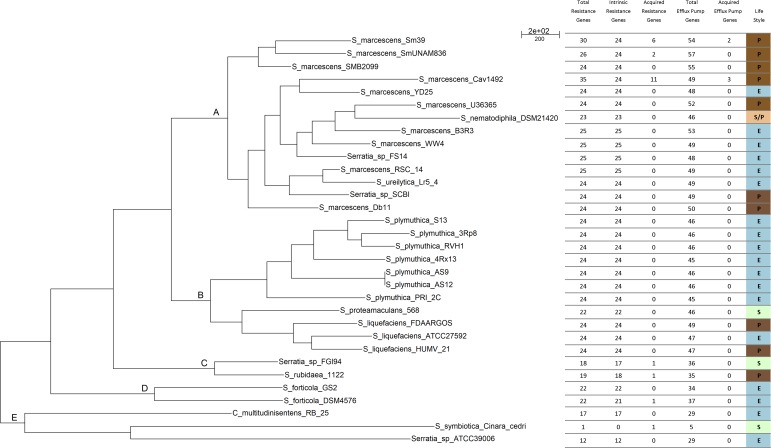 FIGURE 2