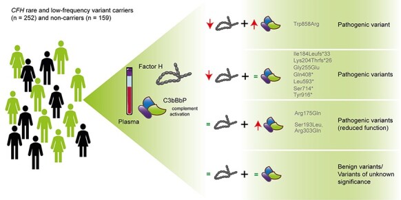 Graphical Abstract