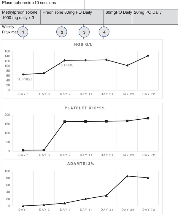 FIGURE 2