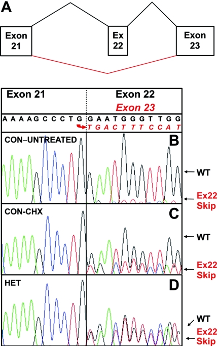 Figure  5. 