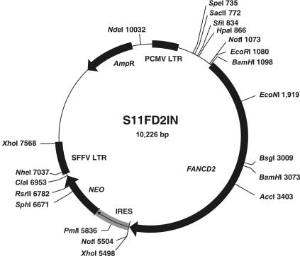 Figure  1. 