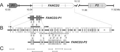 Figure  4. 