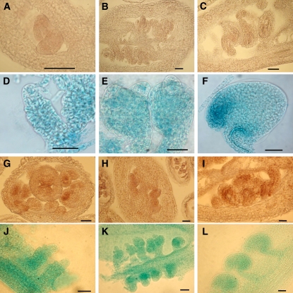 Figure 9.