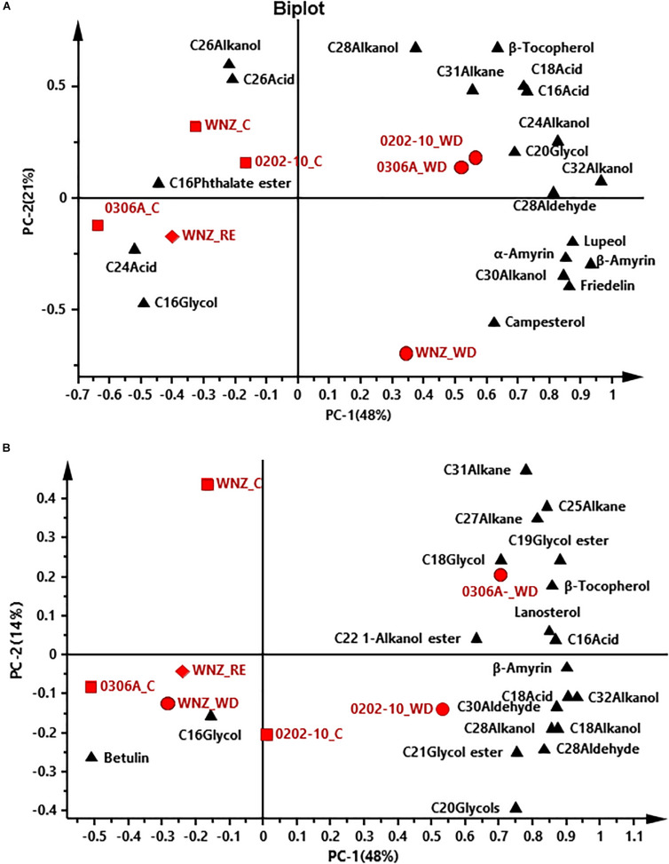 FIGURE 6