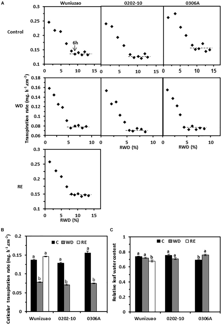 FIGURE 4