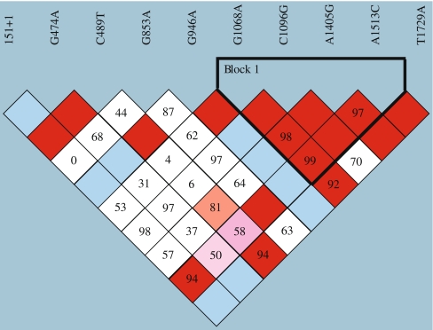 Fig. 1