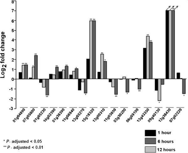 Figure 11