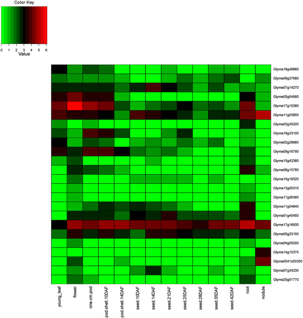 Figure 7