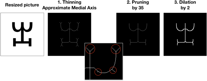 Fig. 3