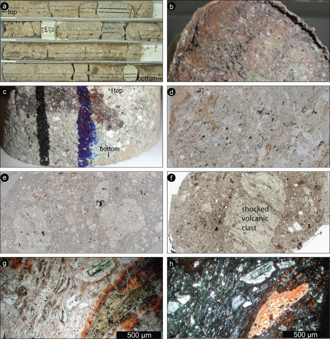 Fig. 13