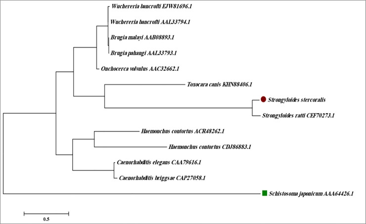 Fig 5