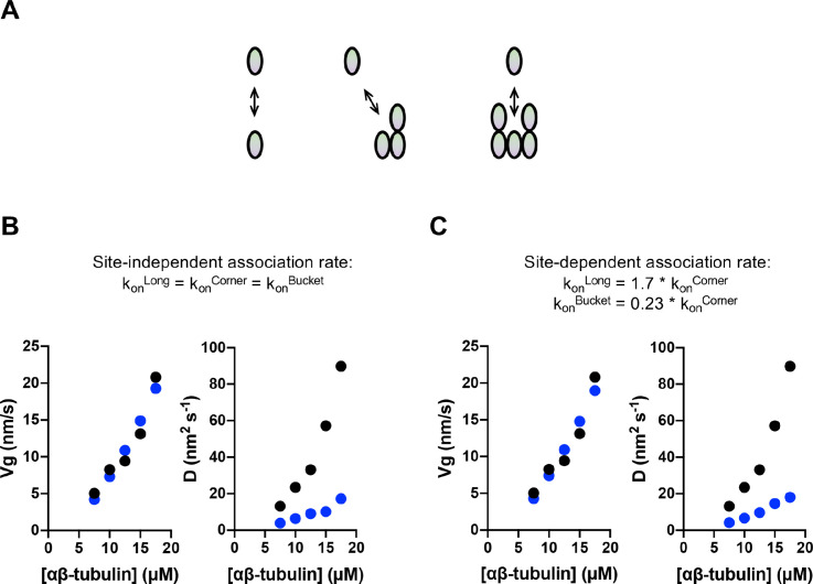 Figure 4—figure supplement 1.