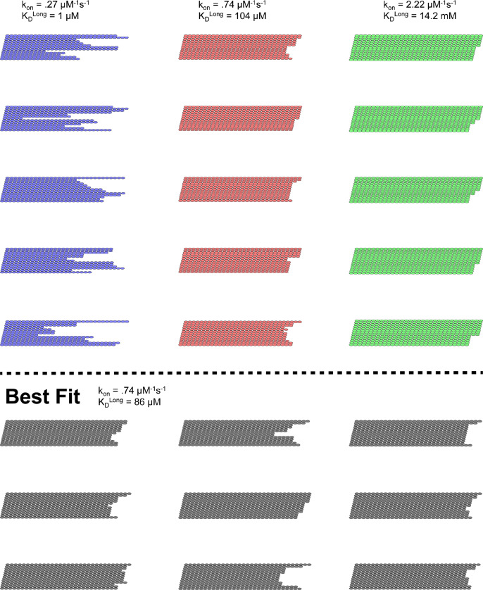 Figure 2—figure supplement 4.