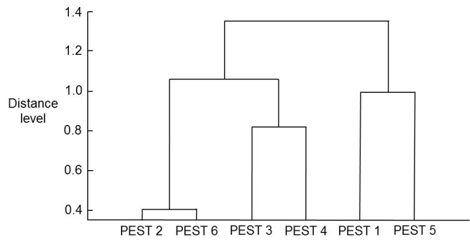 Figure 6.