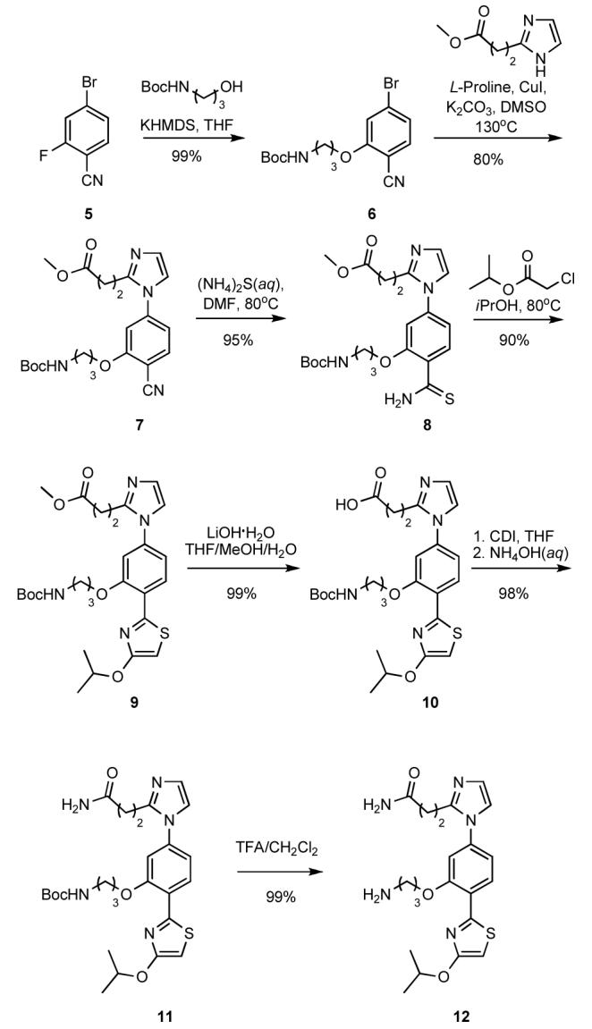 Scheme 2