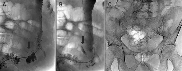 Fig. 9