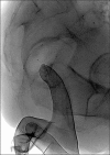 Fig. 7