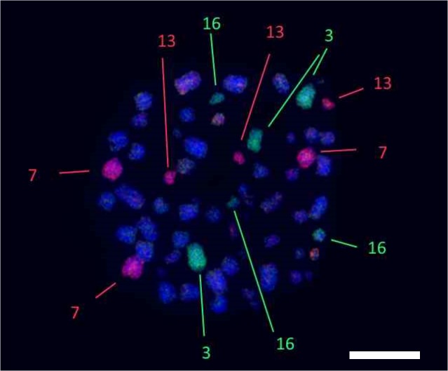 Fig 2