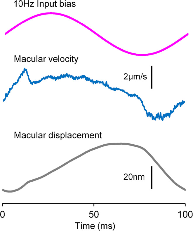 Fig. 7