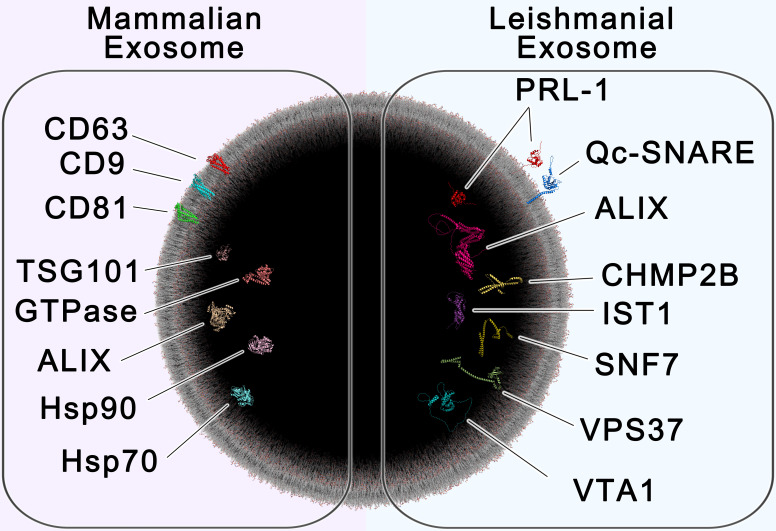 Figure 6