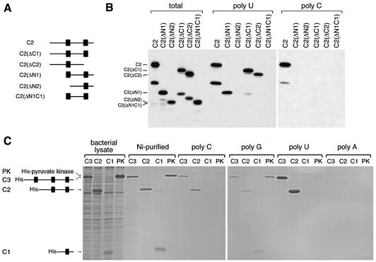 FIG. 7.