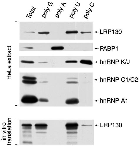 FIG. 5.