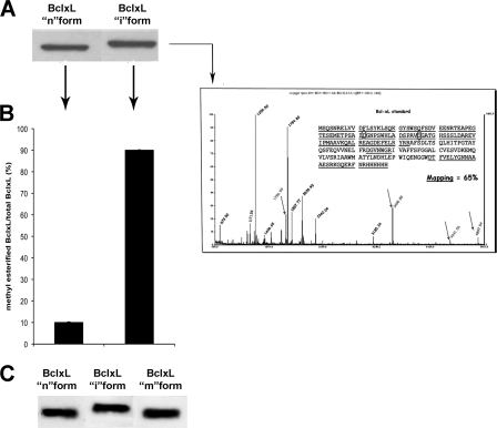 FIGURE 9.