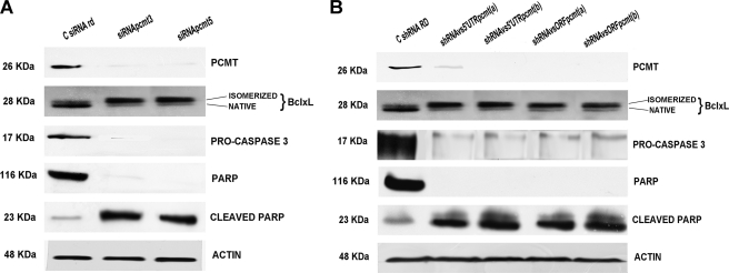 FIGURE 10.