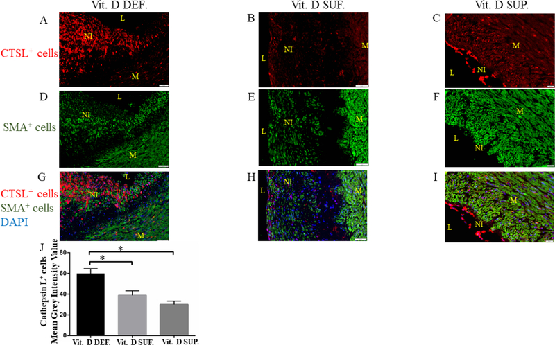 Figure 4: