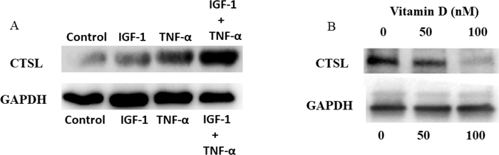 Figure 6: