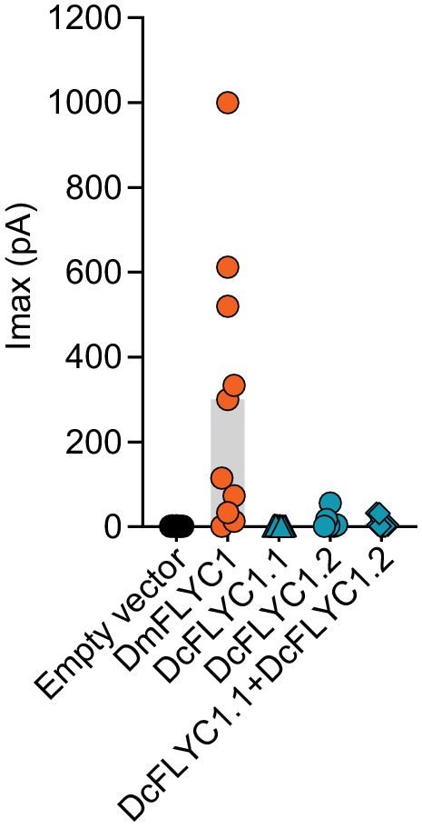 Figure 5—figure supplement 3.