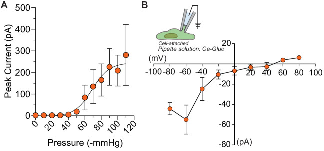 Figure 4—figure supplement 2.