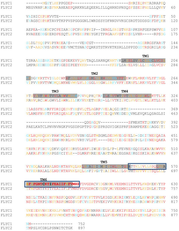 Figure 2—figure supplement 1.