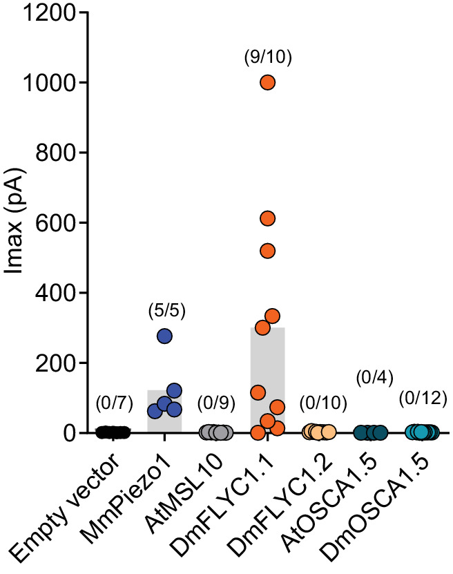 Figure 4—figure supplement 1.