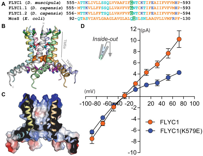 Figure 4—figure supplement 3.