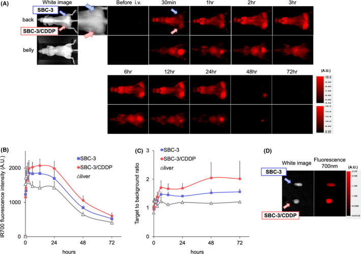 FIGURE 3