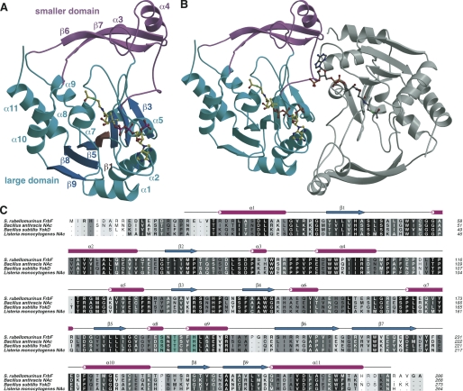 FIGURE 3.